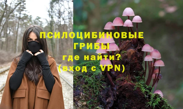 ECSTASY Баксан