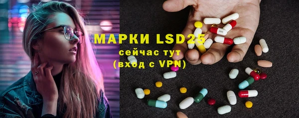 ГАЛЛЮЦИНОГЕННЫЕ ГРИБЫ Беломорск