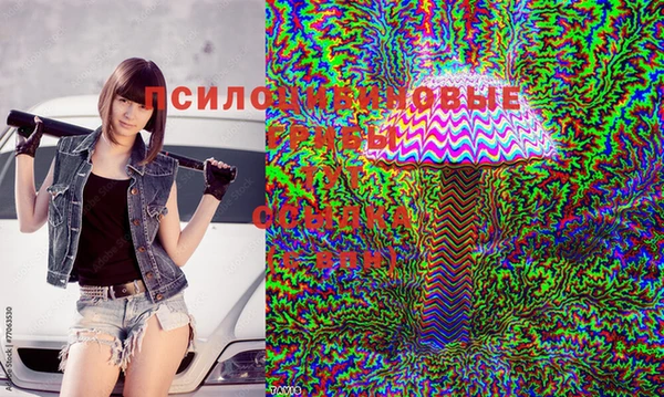 ECSTASY Баксан