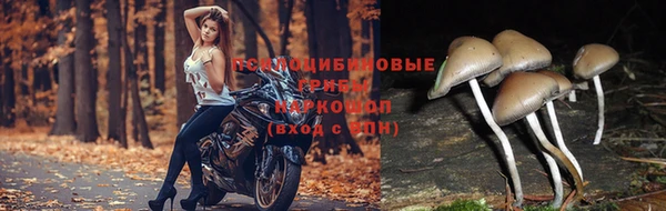 экстази Балабаново
